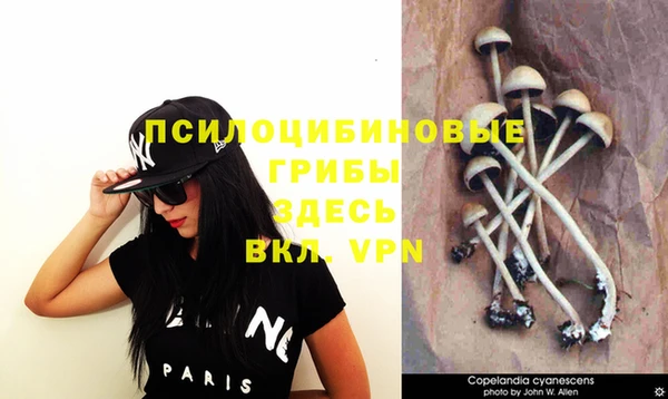 МДПВ Лихославль