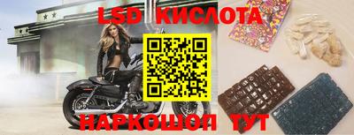 гашик Бузулук