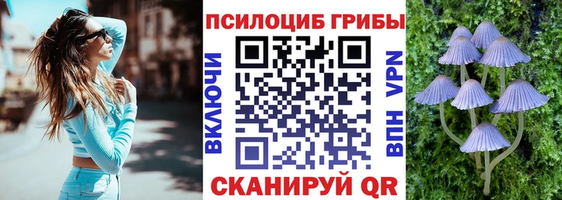 Псилоцибиновые грибы MAGIC MUSHROOMS  Камышлов 