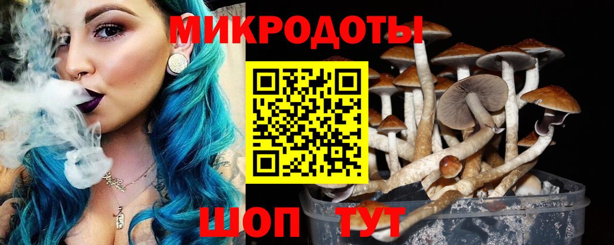 Галлюциногенные грибы MAGIC MUSHROOMS  Вход с VPN  Камышлов 