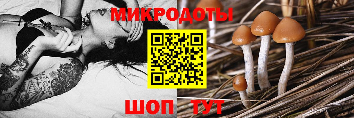 Галлюциногенные грибы GOLDEN TEACHER  Камышлов 