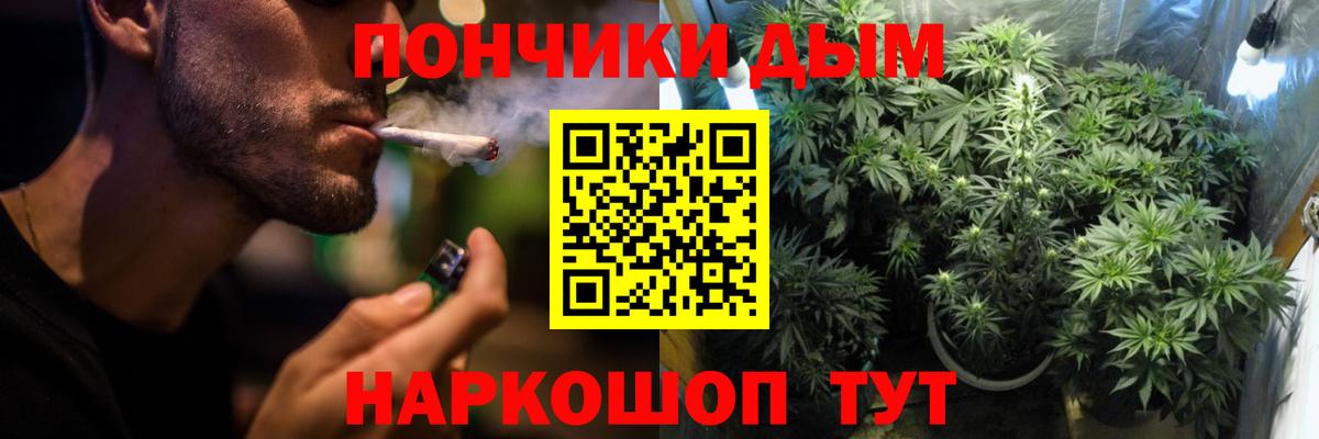 Конопля Ganja  Канабис ГИДРОПОН  Камышлов  Каннабис Bruce Banner 
